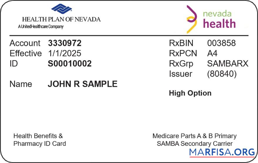 Blank Nevada health insurance card sample